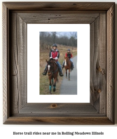 horse trail rides near me in Rolling Meadows, Illinois